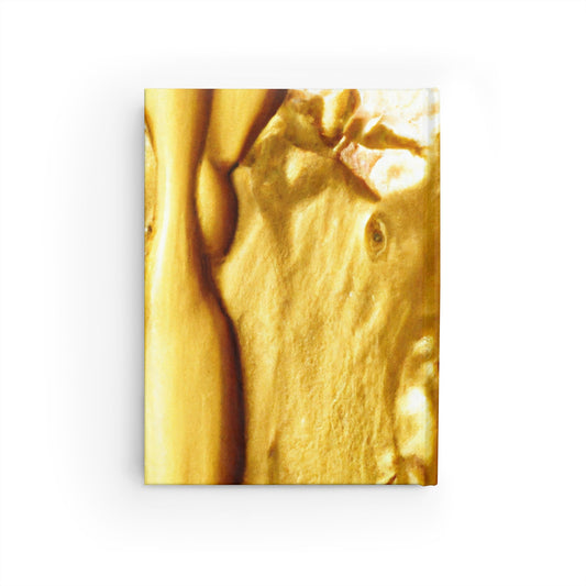 Cornelius van Goldenshof - Journal