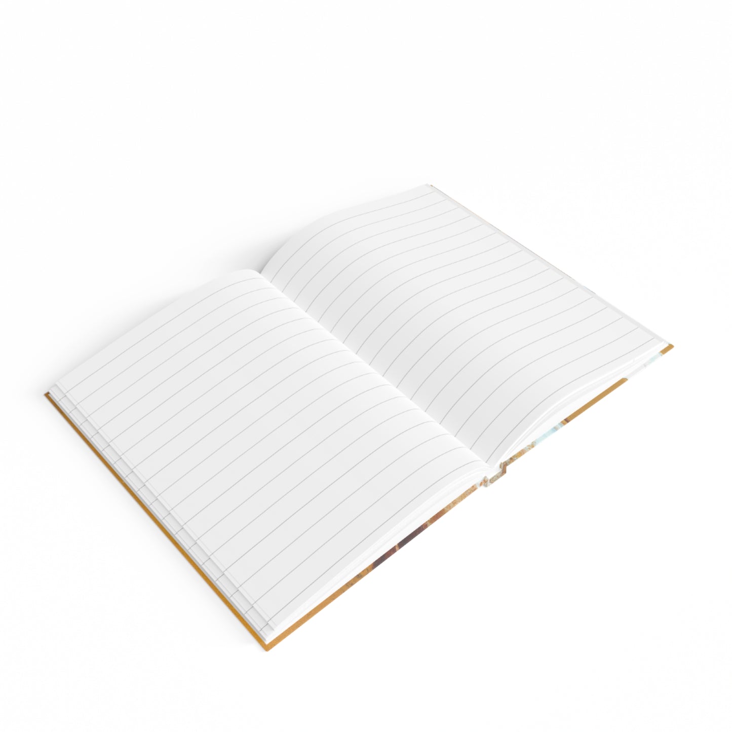 Leonardo da Vinci da Oro ("Leonardo da Vinci of Gold") - Journal