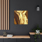 IN SLEEVES

Chryseis de Ouro Vida (Chryseis of the Golden Life) - Canvas