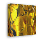 Vincenza de'Oro - Canvas